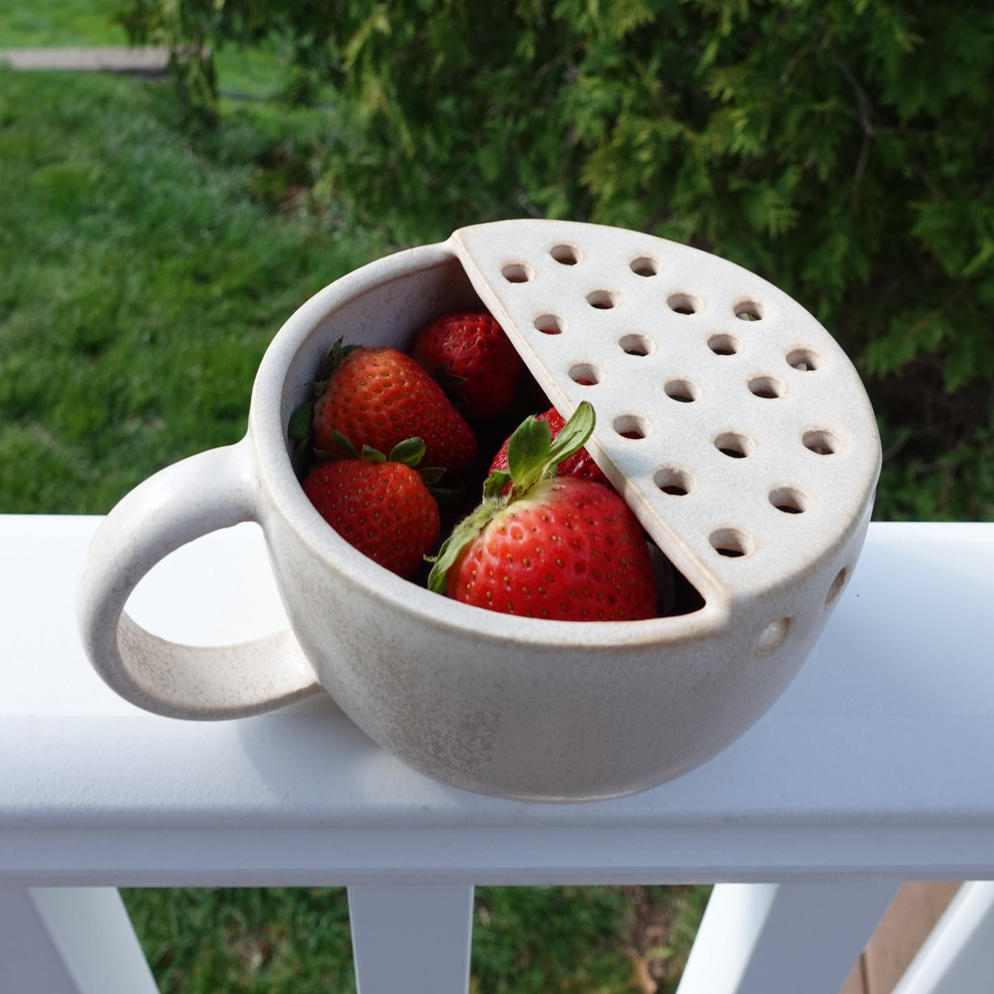 Berry Strainer with Handle
