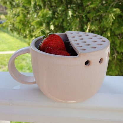 Berry Strainer with Handle